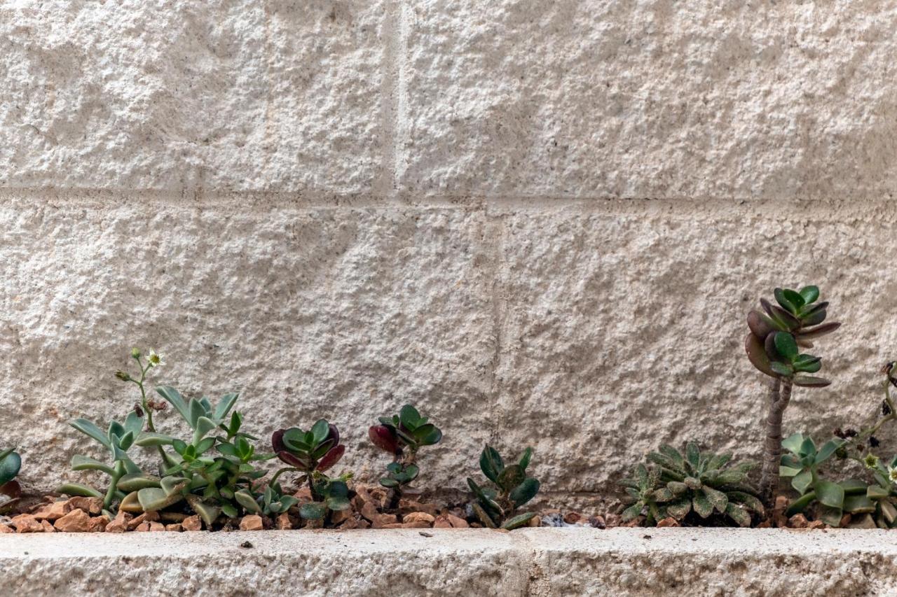 In Centro Da Viola - Eco Design Rooms Olbia Ngoại thất bức ảnh